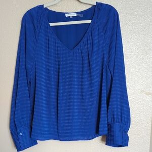 Calvin Klein Women's Blue Striped Textured Blouse